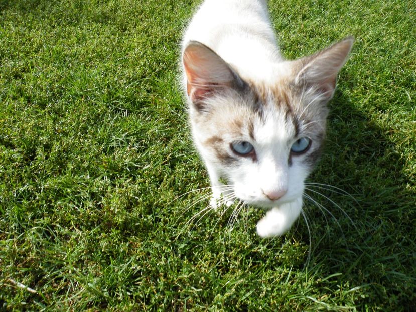  - 2023 de prin curte