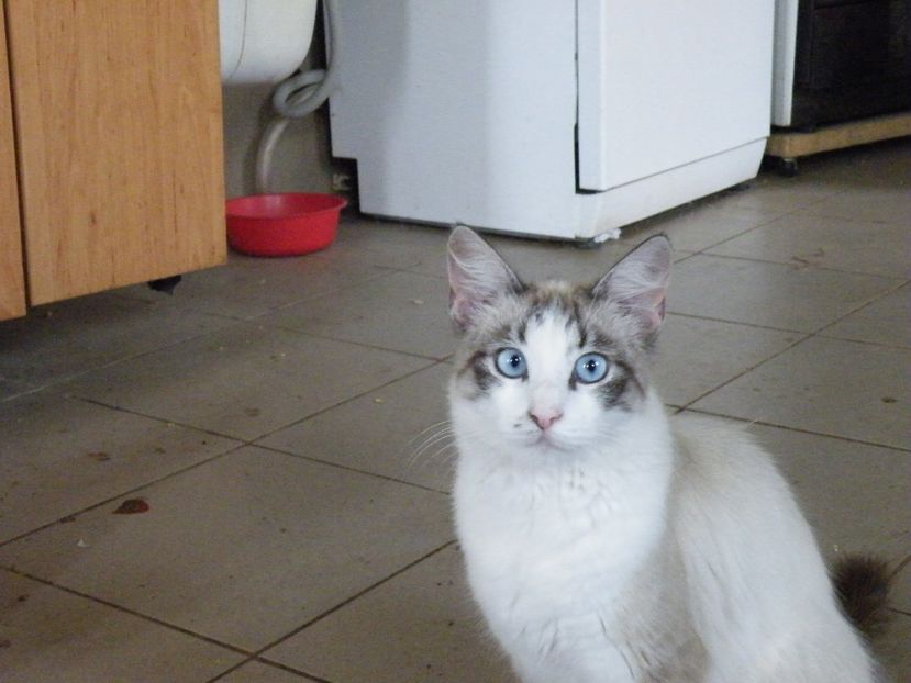  - 2023 de prin curte