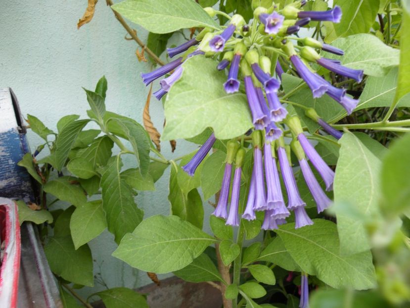  - 2023 de prin curte