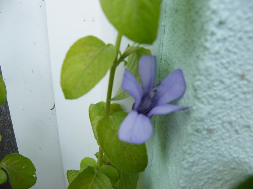  - 2023 de prin curte