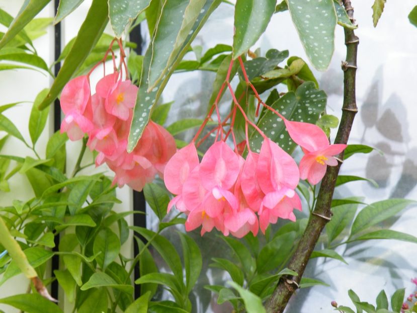  - 2023 de prin curte