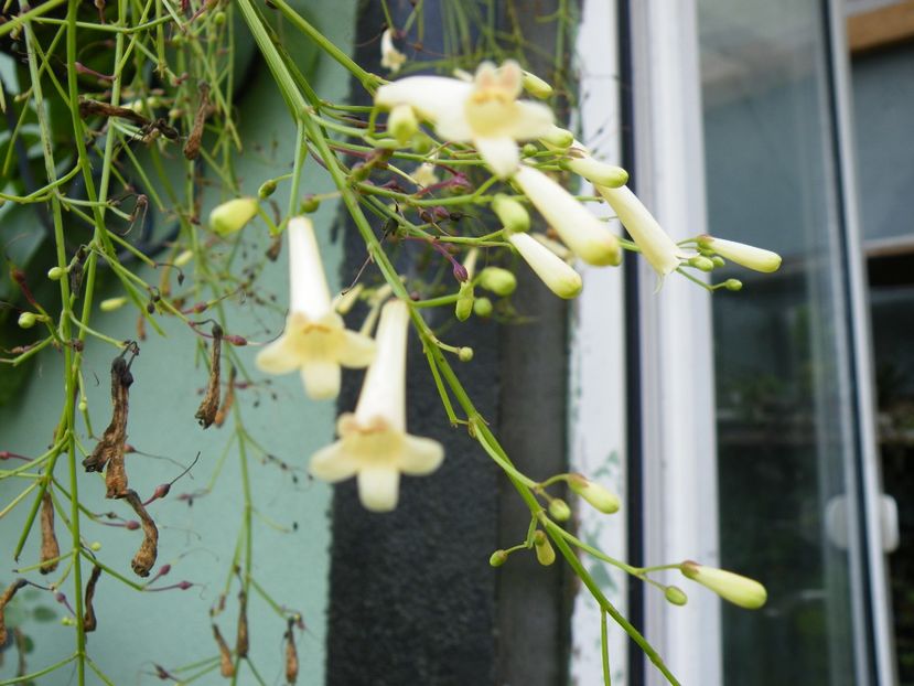  - 2023 de prin curte