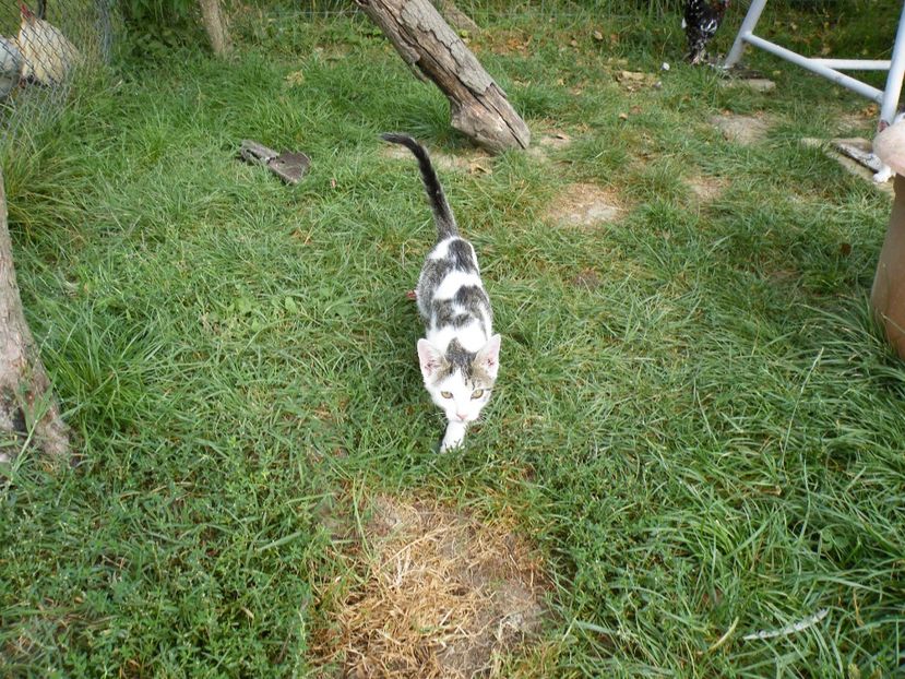  - 2023 de prin curte