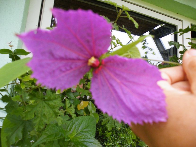  - 2023 de prin curte