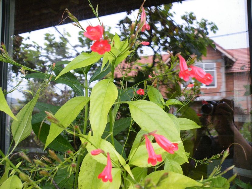  - 2023 de prin curte