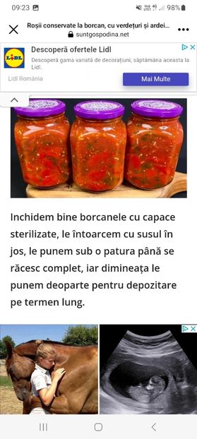 Screenshot_20230915_092318_Facebook - Rosii conservate la borcan cu verdeturi si ardei iute