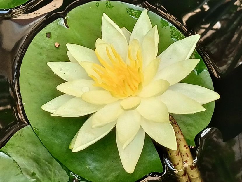  - Grădina 2023 continuare 5