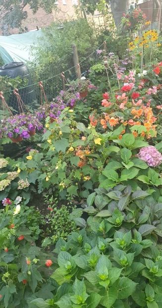 received_852047526523481 - - Gradina 2023