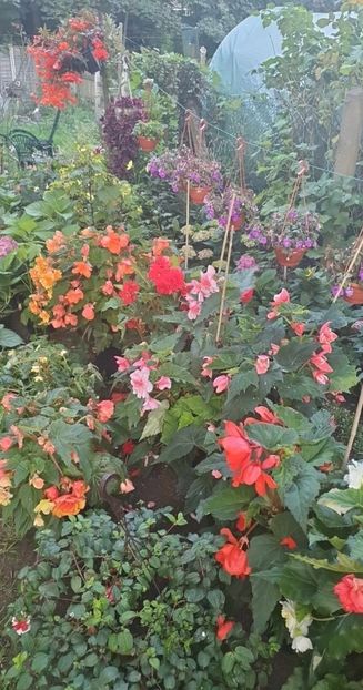 received_996623351463031 - - Gradina 2023