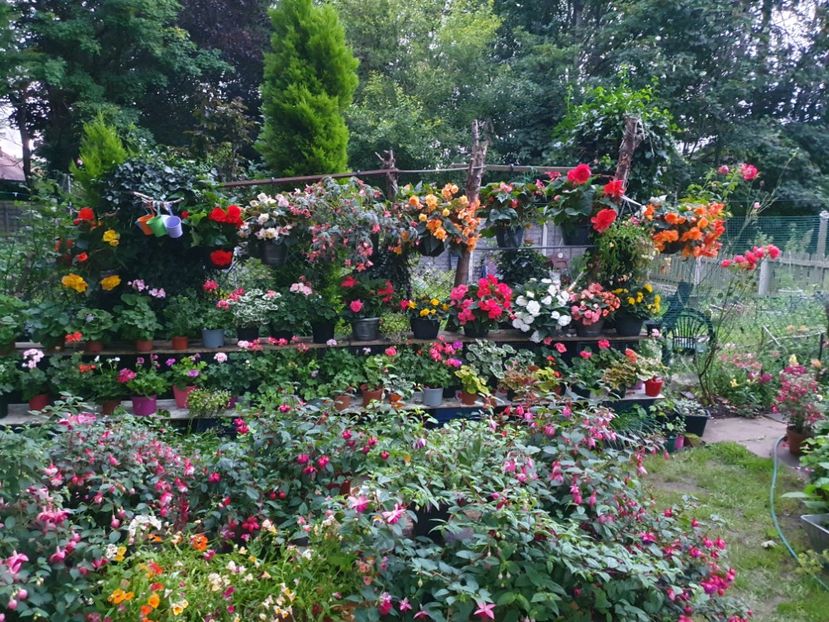  - 0 Gradina 2023