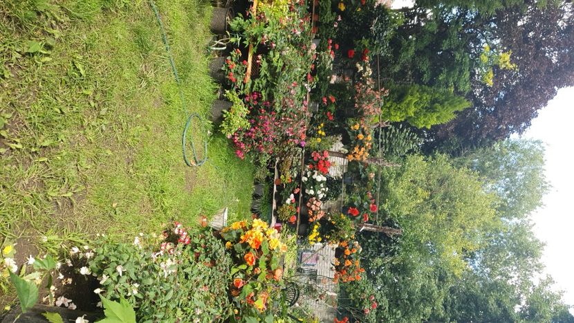 IMG-20230727-WA0011 - - Gradina 2023