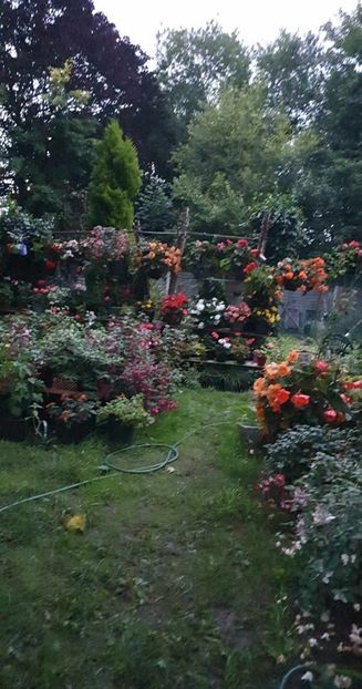 received_133197023159627 - 0 Gradina 2023