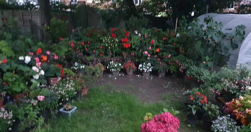 received_679708616965927 - 0 Gradina 2023
