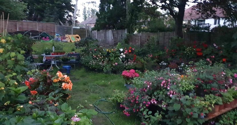 received_1433358200839535 - 0 Gradina 2023
