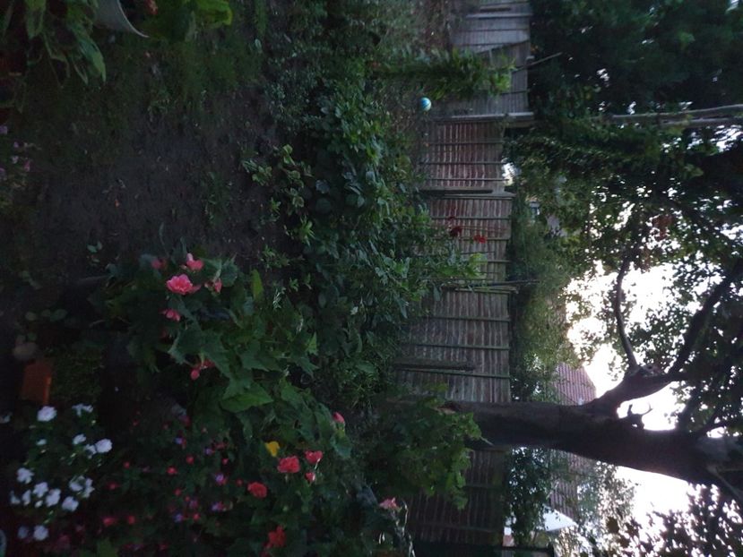  - 0 Gradina 2023