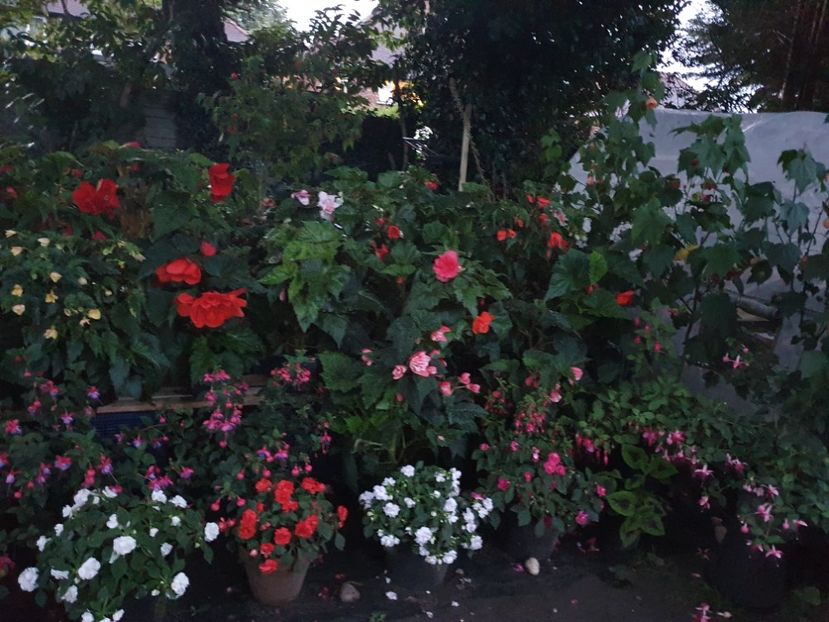  - 0 Gradina 2023