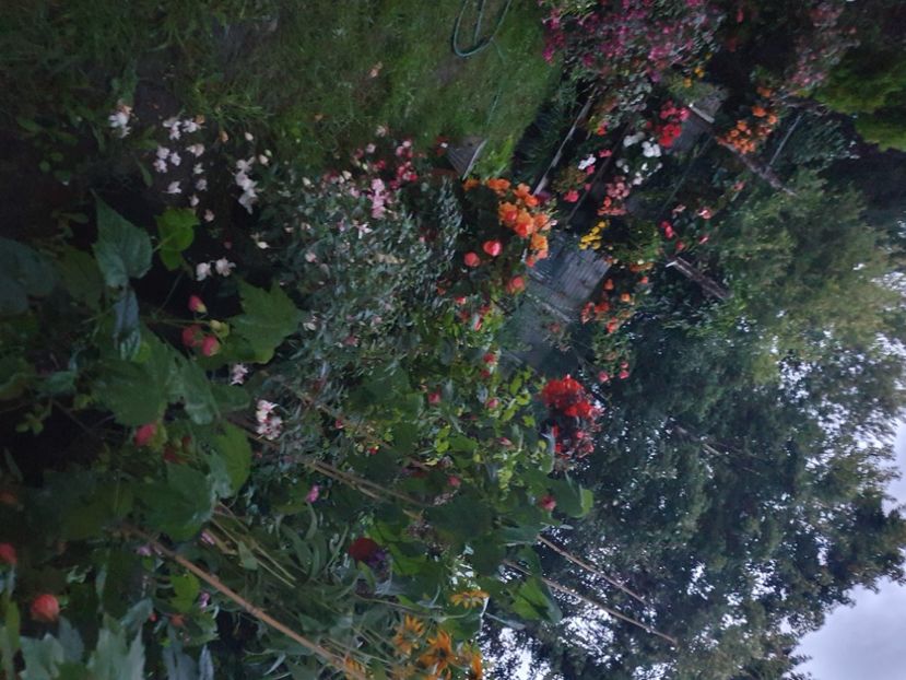  - 0 Gradina 2023