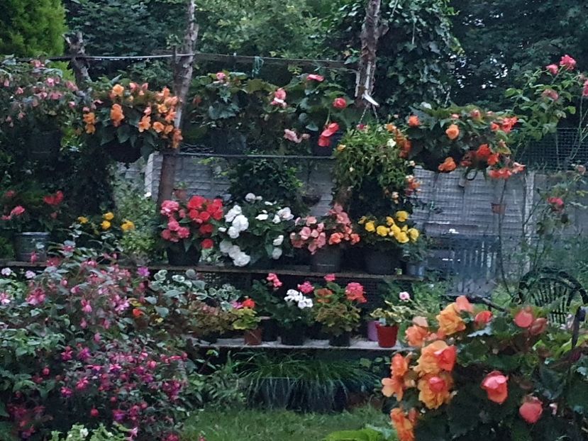  - 0 Gradina 2023