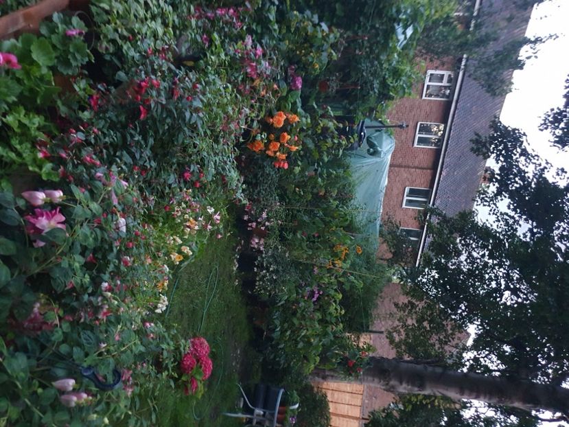  - 0 Gradina 2023