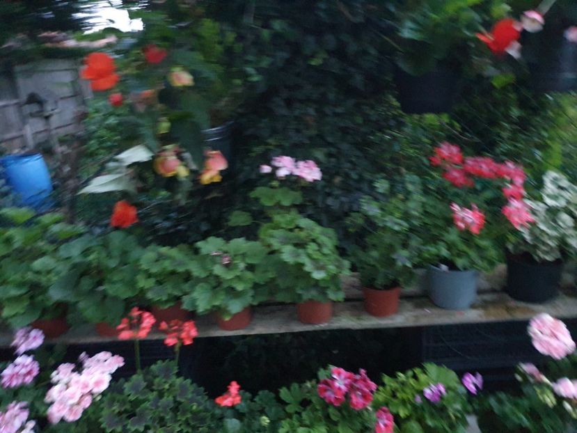 - 0 Gradina 2023