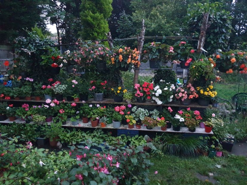  - 0 Gradina 2023