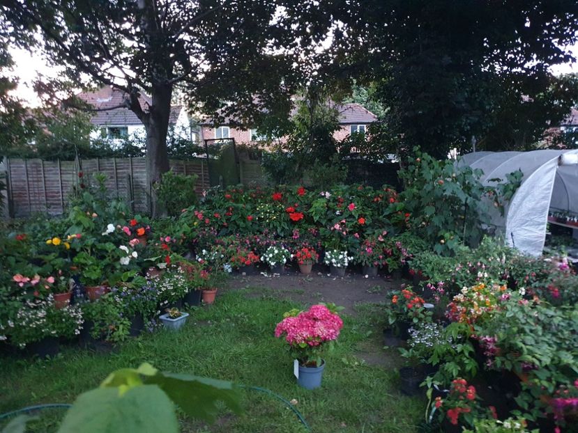  - 0 Gradina 2023