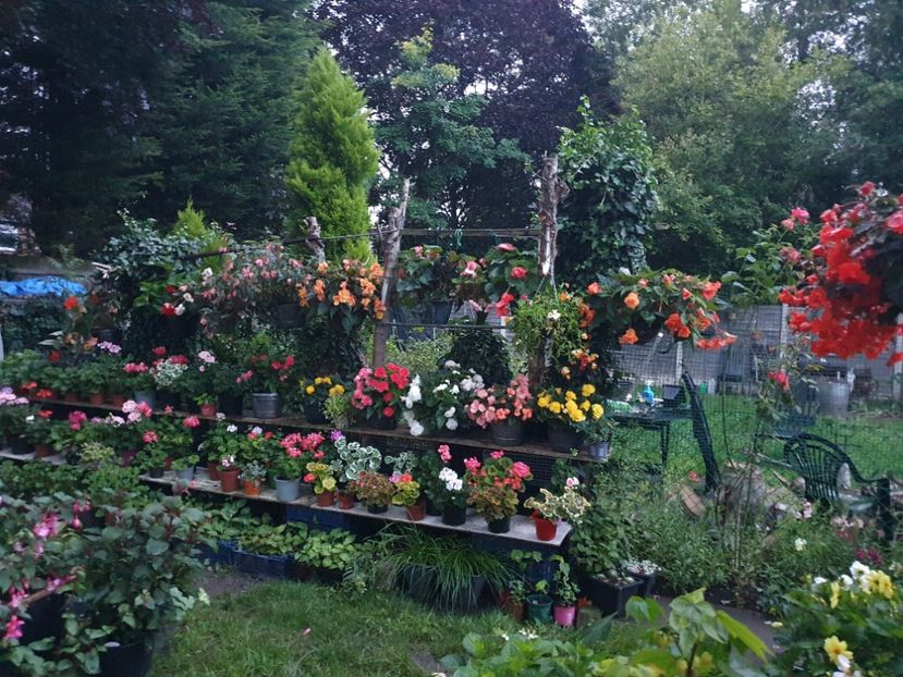  - 0 Gradina 2023