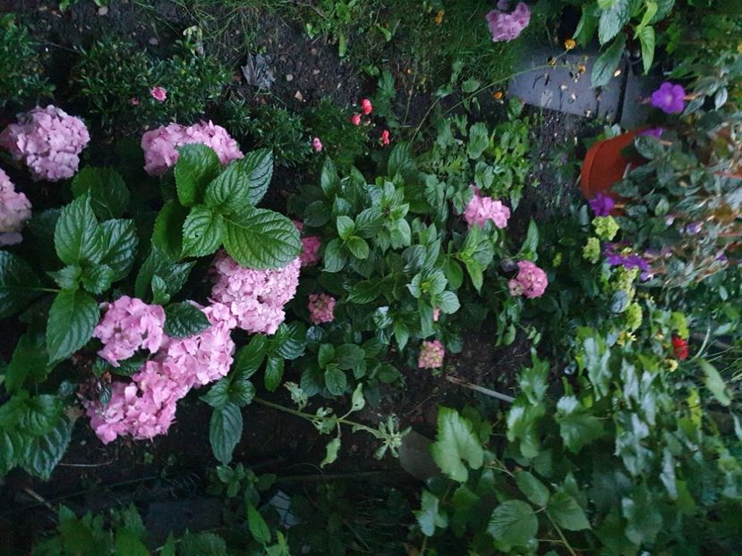  - 0 Gradina 2023