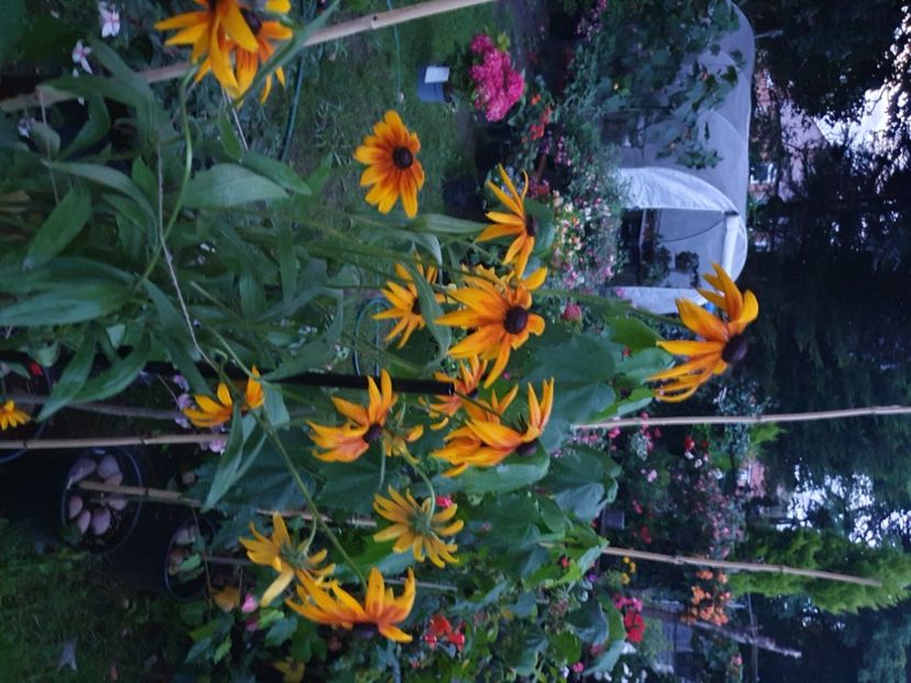  - 0 Gradina 2023