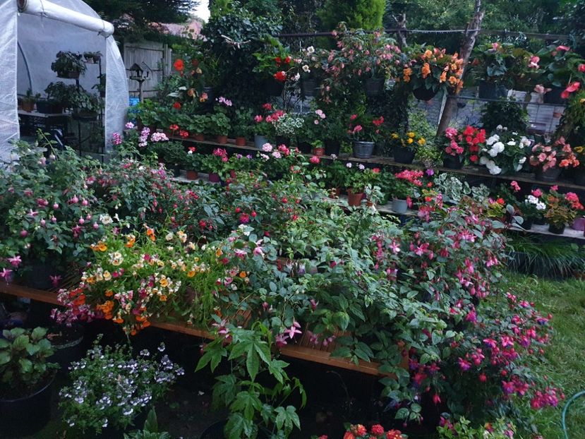  - 0 Gradina 2023