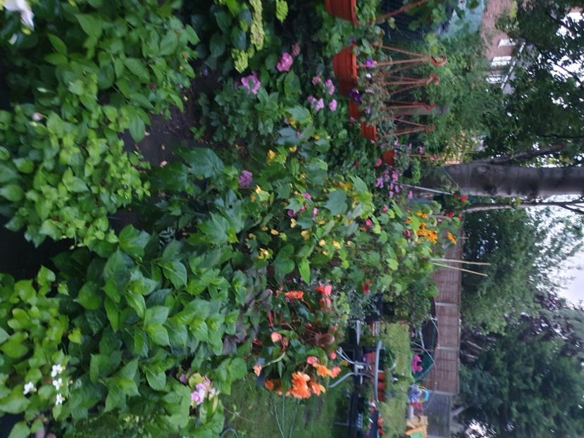  - 0 Gradina 2023