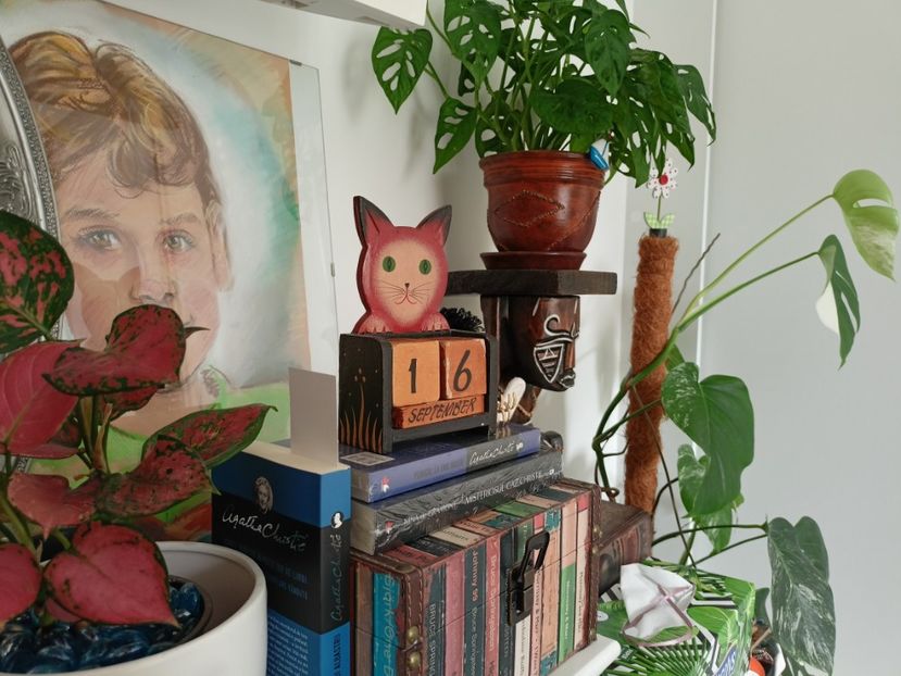 16.09.2023 - Plante verzi de apartament