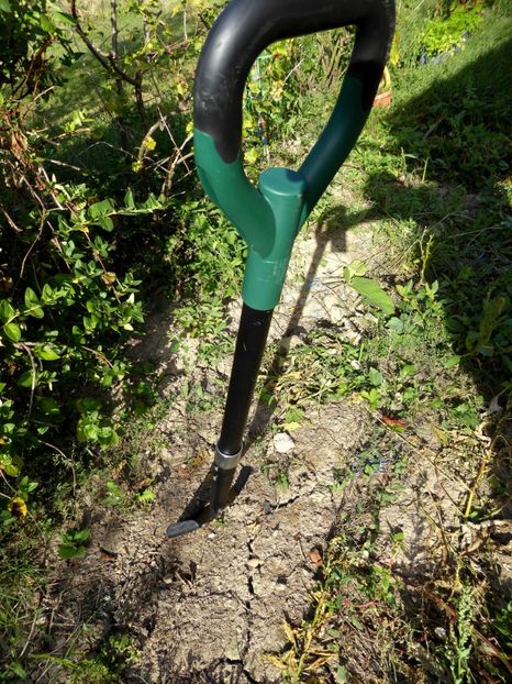 P1170652 - Cazma pentru rădăcini