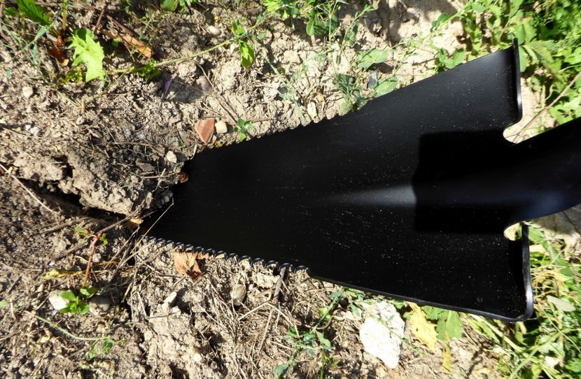 P1170654 - Cazma pentru rădăcini