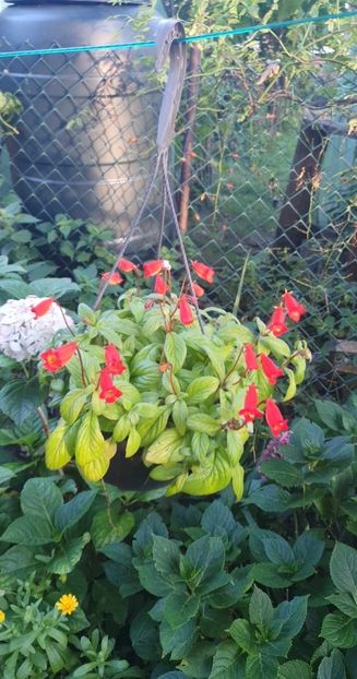received_1007040607114859 - Seemannia Evita