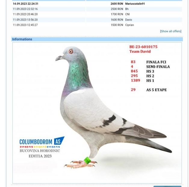 23 - 6010175 BE- Col.Horodnic - Porumbei columbodroame