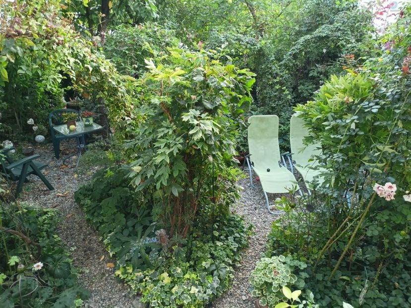  - Grădina 2023 continuare 5