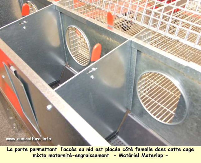 space07-25 - 1 - Custi