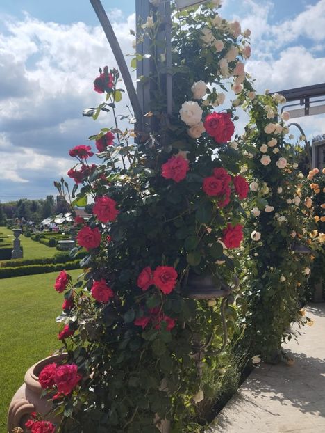  - 2023 CAZANELE DUNĂRII 2-4 IUNIE