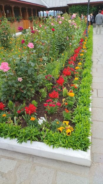 IMG-20230605-WA0087 - 2023 CAZANELE DUNĂRII 2-4 IUNIE