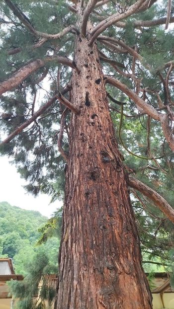 IMG-20230605-WA0129 - 2023 CAZANELE DUNĂRII 2-4 IUNIE