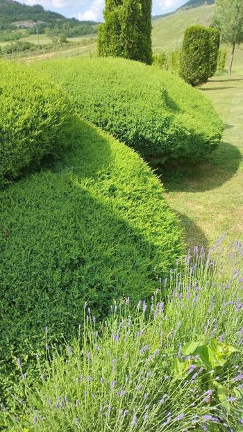 IMG-20230605-WA0151 - 2023 CAZANELE DUNĂRII 2-4 IUNIE