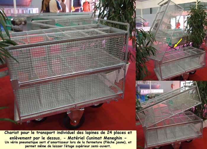 space07-31 - 1 - Custi