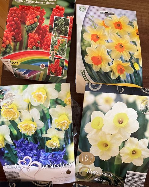 17F02853-0468-4496-952E-9717AC4F7759 - Narcise 2017 2023 24