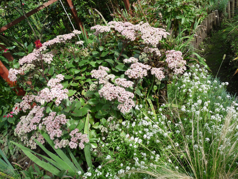  - 2023 - 03 - Toamna