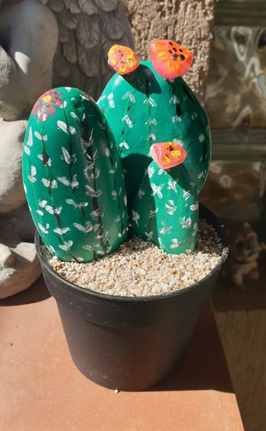Cactusi din pietricele vopsite - Diverse