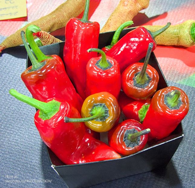 Hot chili peppers - J - VEGS - FRUITS- Legume Fructe