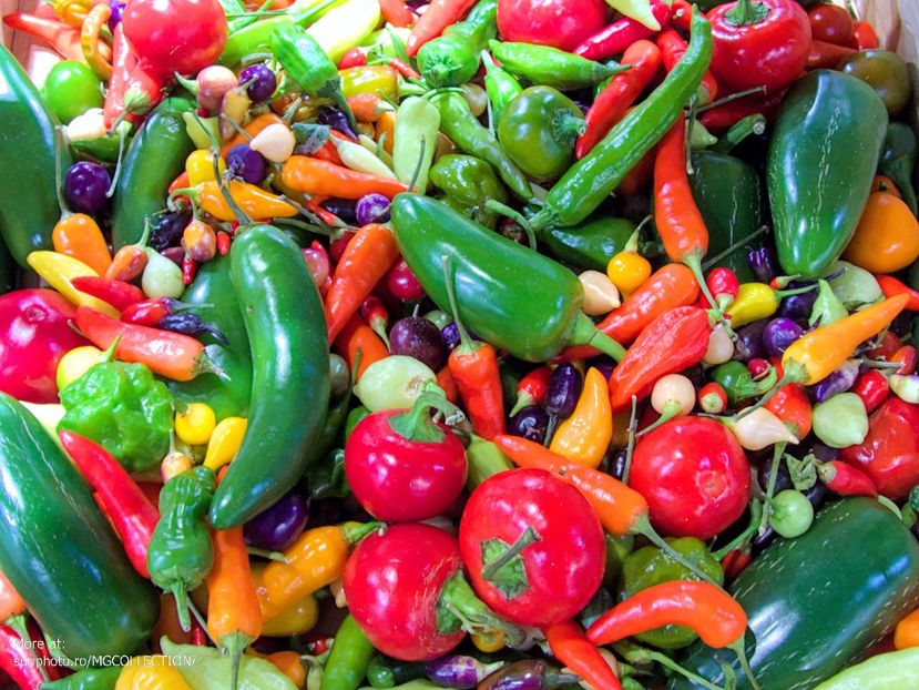 Hot peppers - J - VEGS - FRUITS- Legume Fructe