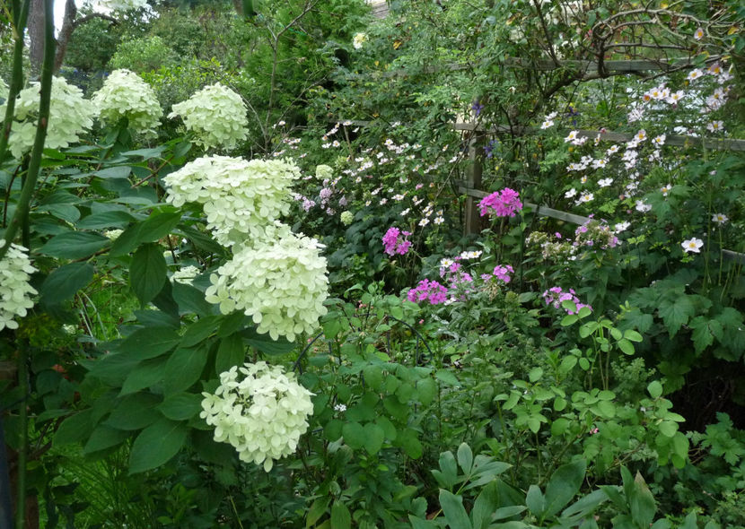  - 2023 - 03 - Toamna