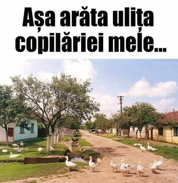  - Simboluri